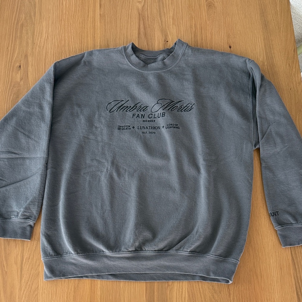 XL gray crewneck sweat shirt, worn, Crescent City themed, made by Nox+Luna